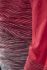 Craft wool comfort 2.0 CN lange mouw ondershirt rood dames  1905341-452975