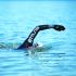 BTTLNS Rapture 3.0 wetsuit lange mouw heren  0123010-034