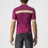 Castelli Grimpeur korte mouw fietsshirt rood heren  4522020-982